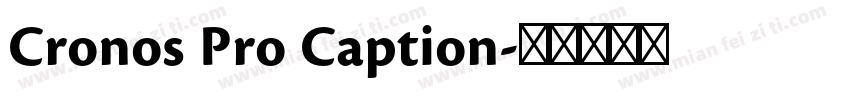 Cronos Pro Caption字体转换